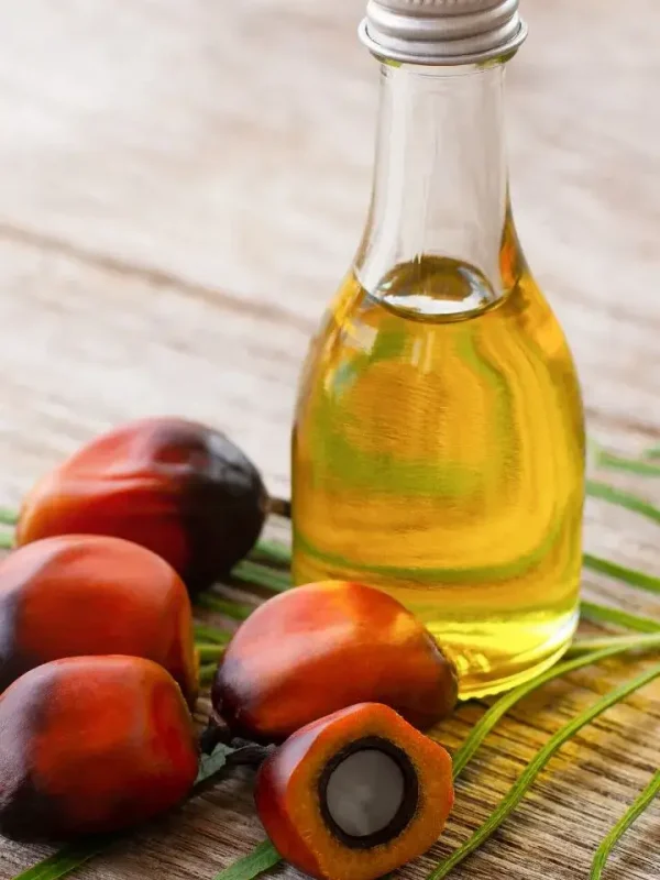 Palm Oil